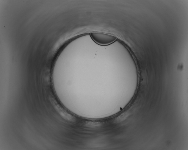 X0000092241499200710051228