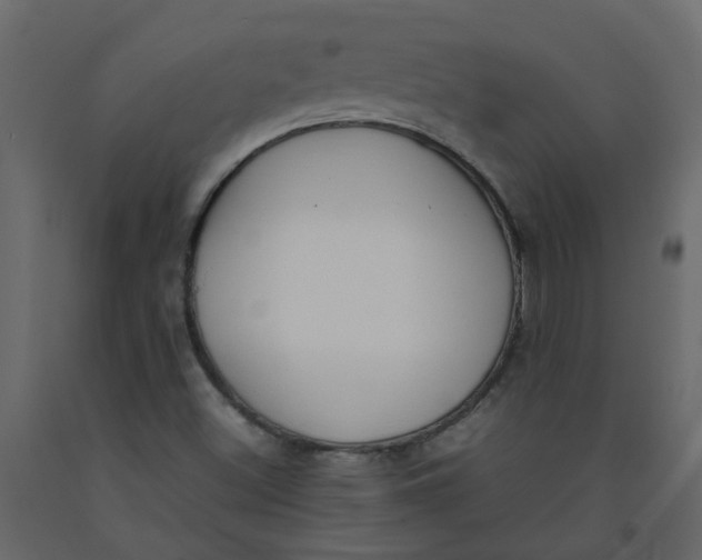 X0000092241500200710051228