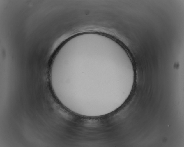 X0000092241501200710051228