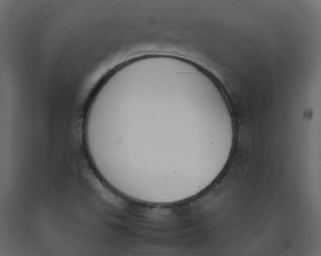 X0000092241503200710051228