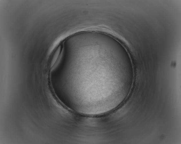 X0000092241506200710051228