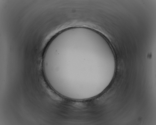 X0000092241507200710051228