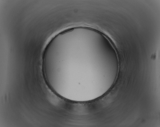 X0000092241508200710051228