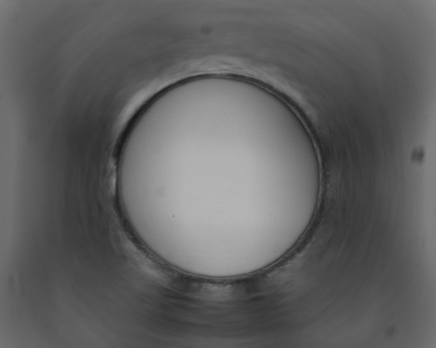 X0000092241509200710051228