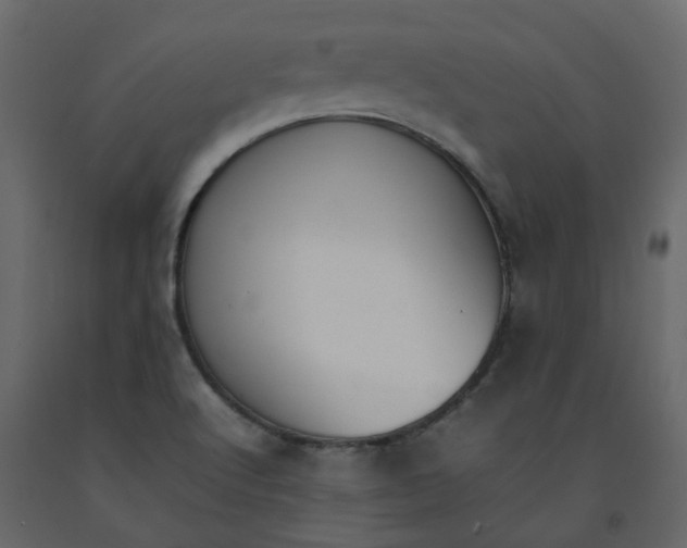 X0000092241512200710051228