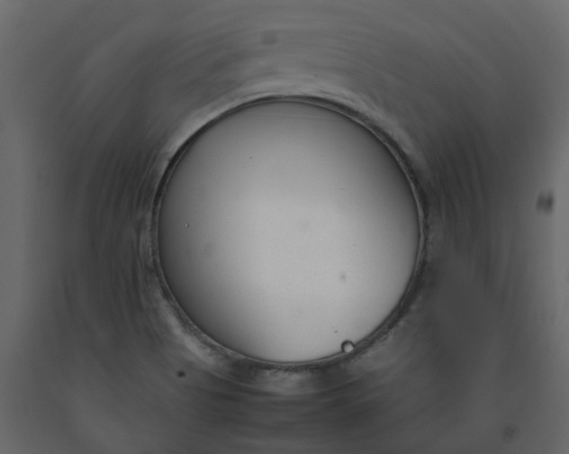 X0000092241513200710051228