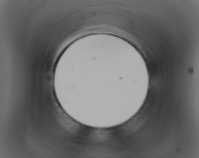 X0000092241514200710051228