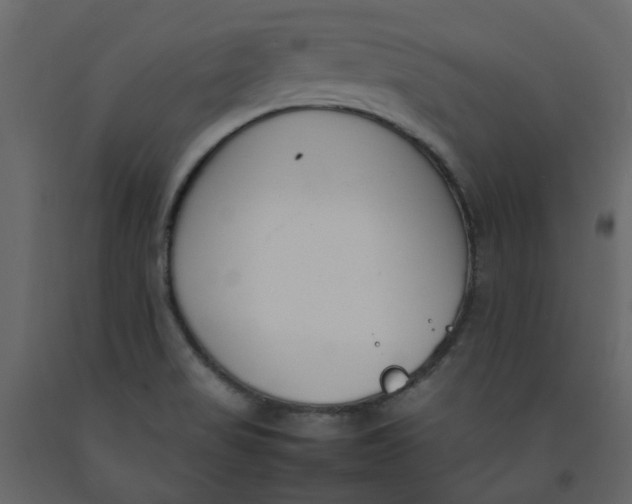 X0000092241517200710051228