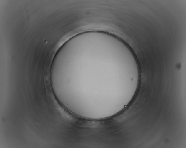 X0000092241521200710051229