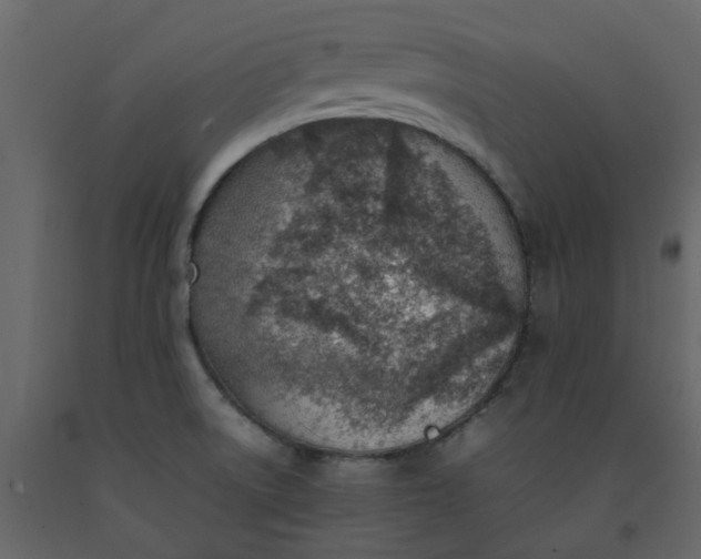 X0000092241522200710051229