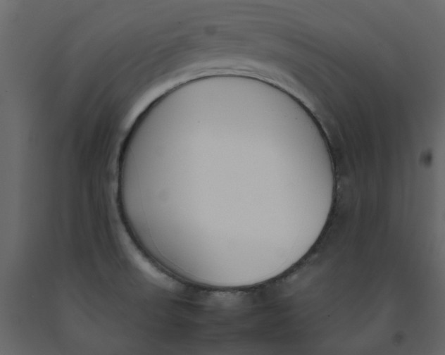 X0000092241523200710051229