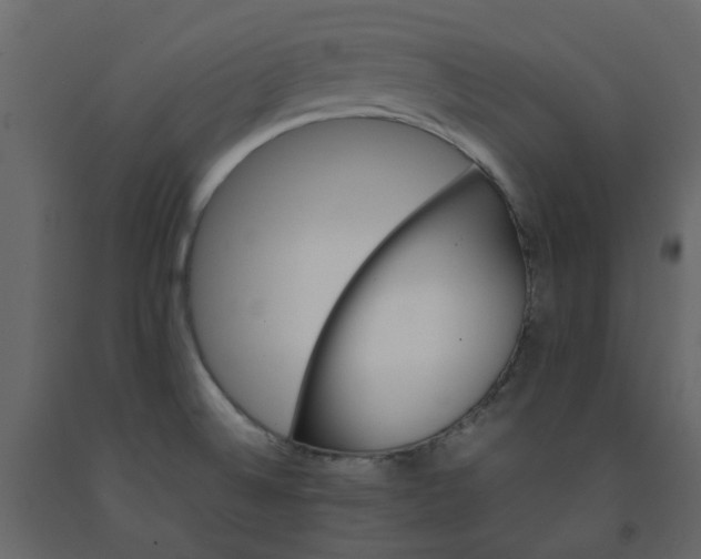 X0000092241524200710051229