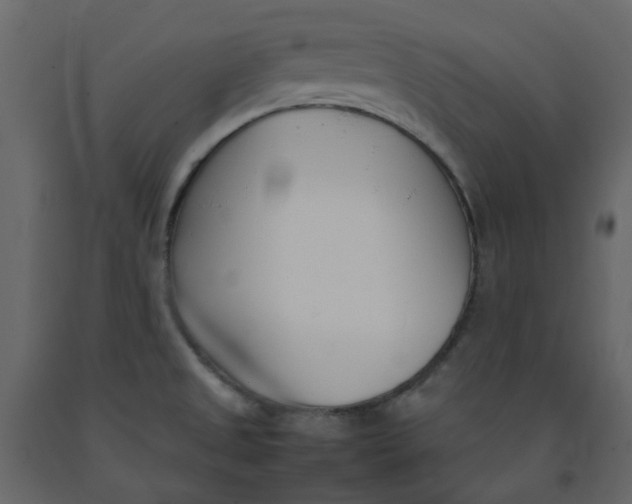 X0000092241525200710051229