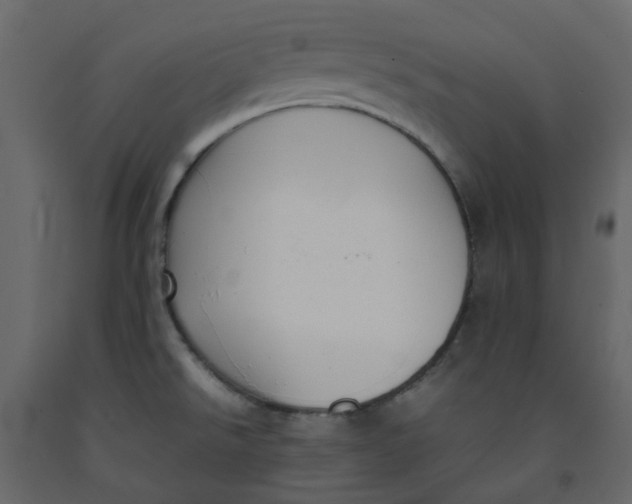 X0000092241526200710051229