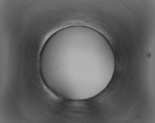 X0000092241527200710051229