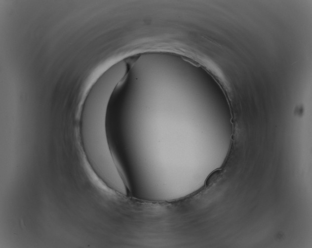 X0000092241528200710051229