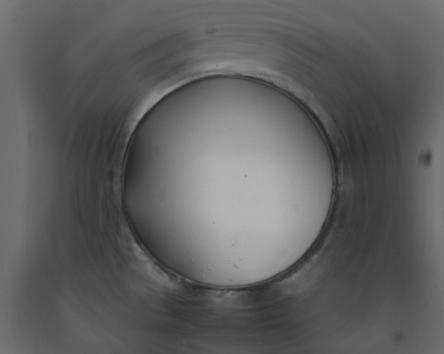 X0000092241529200710051229