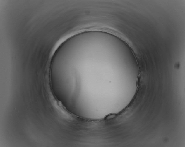 X0000092241530200710051229