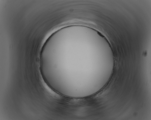 X0000092241531200710051229