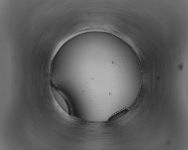 X0000092241532200710051229