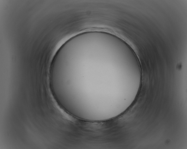 X0000092241533200710051229