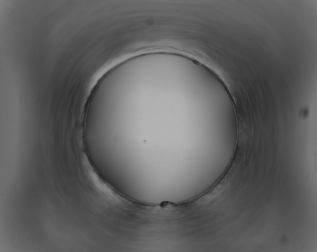 X0000092241534200710051229