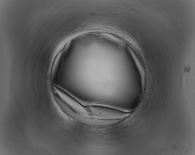 X0000092241536200710051229