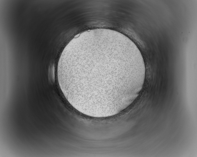 X0000092240014200710121245