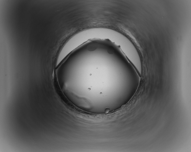 X0000092240019200710121245