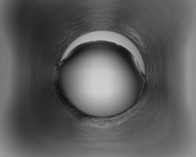X0000092240029200710121245