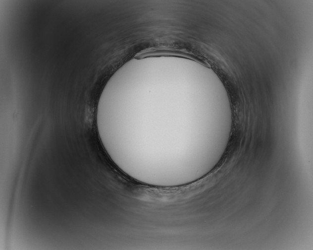 X0000092240033200710121244