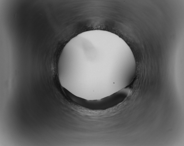 X0000092240039200710121244