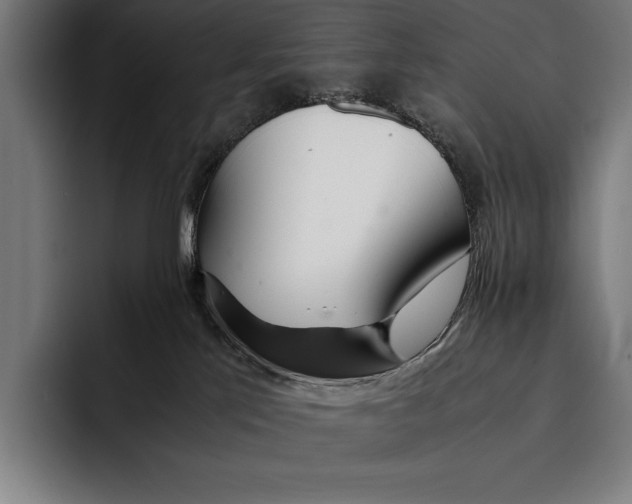 X0000092240041200710121244
