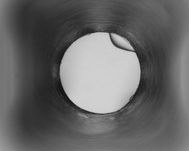 X0000092240044200710121244