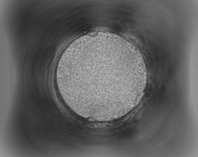 X0000092240049200710121244