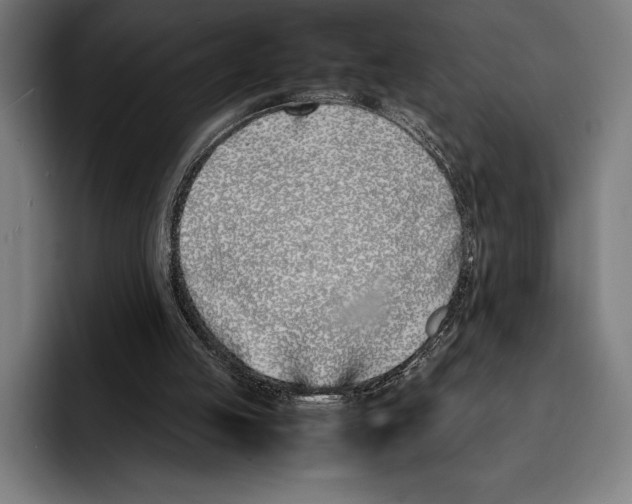 X0000092240053200710121244