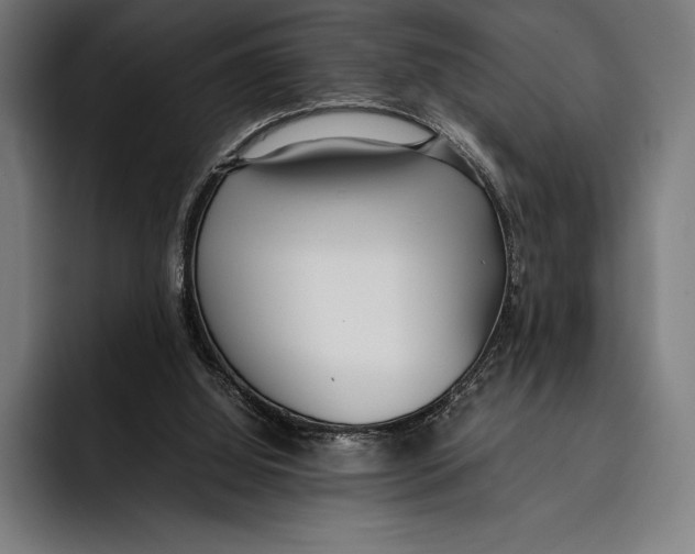 X0000092240060200710121244