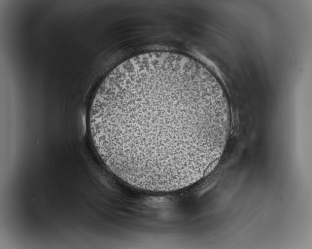 X0000092240061200710121244