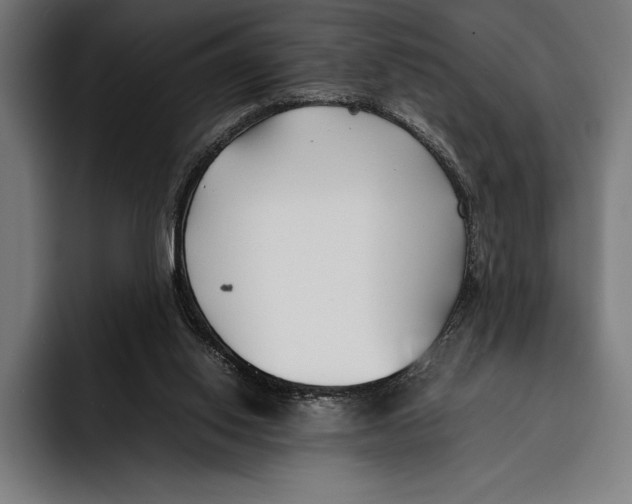 X0000092240062200710121244