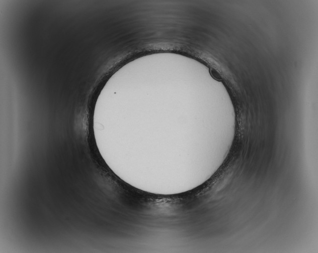 X0000092240064200710121244