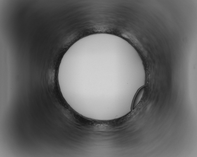 X0000092240066200710121244