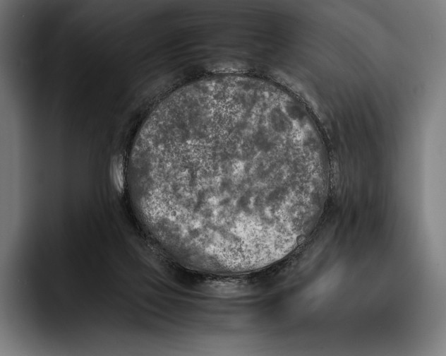 X0000092240069200710121244