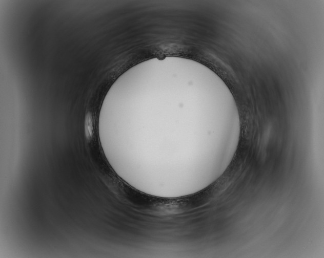 X0000092240075200710121244