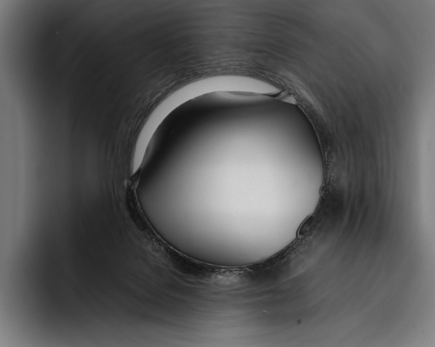 X0000092240076200710121244