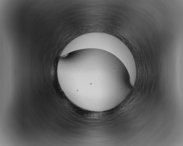 X0000092240084200710121244