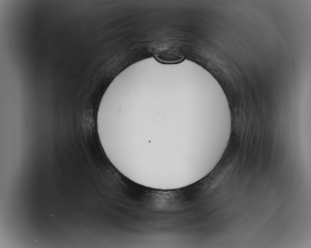 X0000092240085200710121244