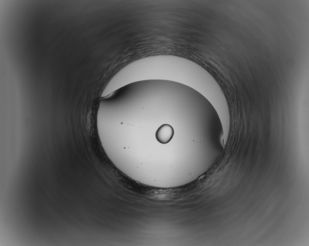 X0000092240088200710121244