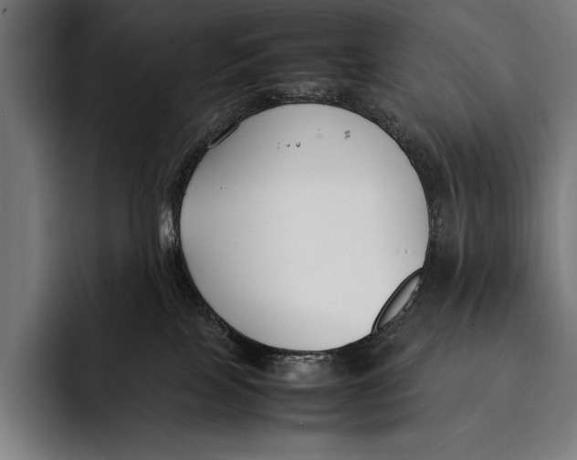 X0000092240089200710121244