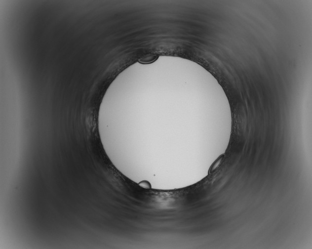 X0000092240091200710121244