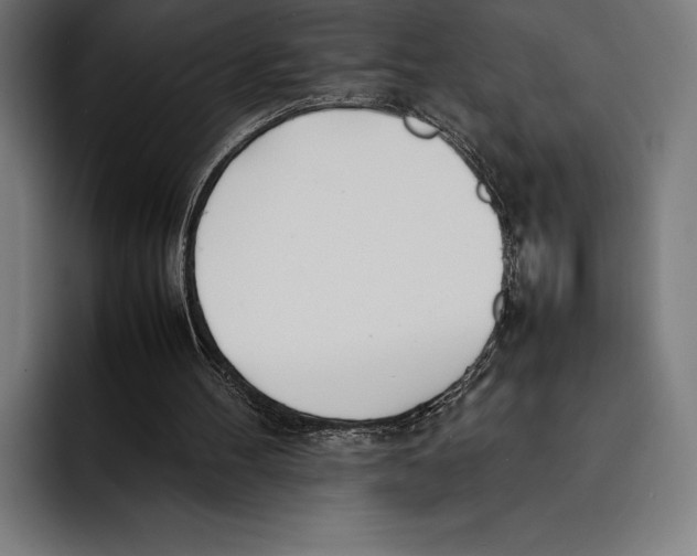 X0000092240100200710121244